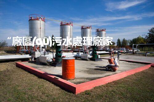 “廠區(qū)污水處理廠家，綠色環(huán)保先鋒，助力綠色進(jìn)展新篇章！”